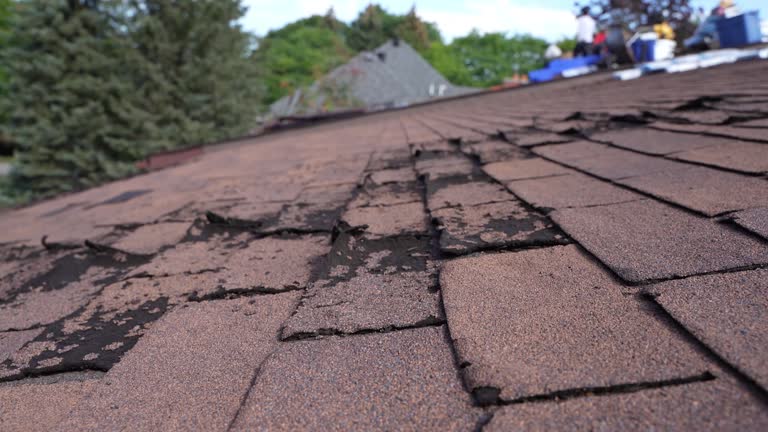Best Roofing for New Construction  in Hawley, PA